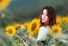 饮茶养生，血压波动知多少